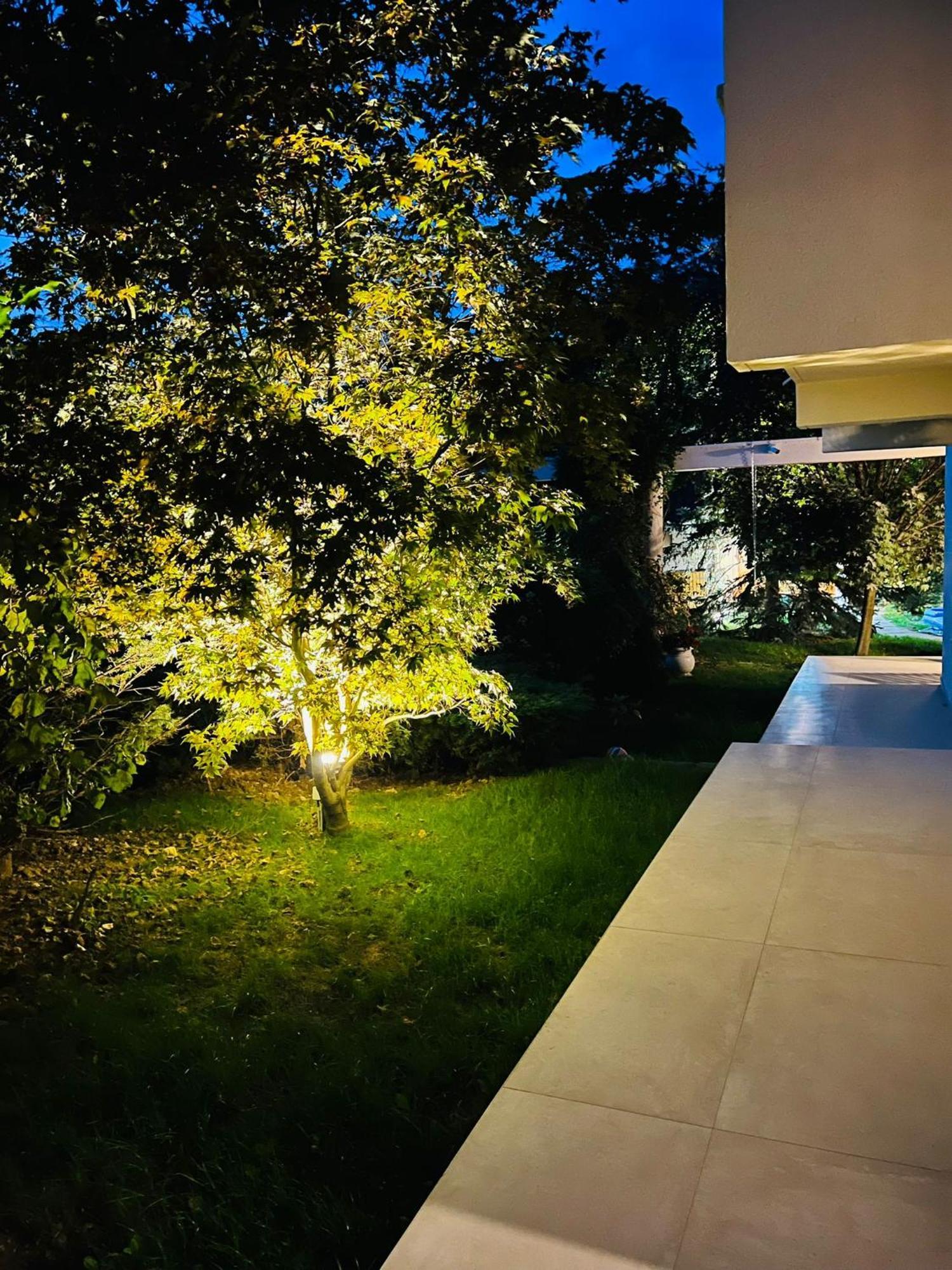 Evie'S Tree House Villa Dragomirna Ngoại thất bức ảnh